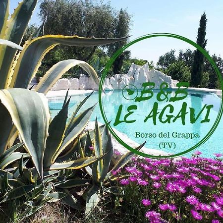 B&B Le Agavi Borso del Grappa Dış mekan fotoğraf