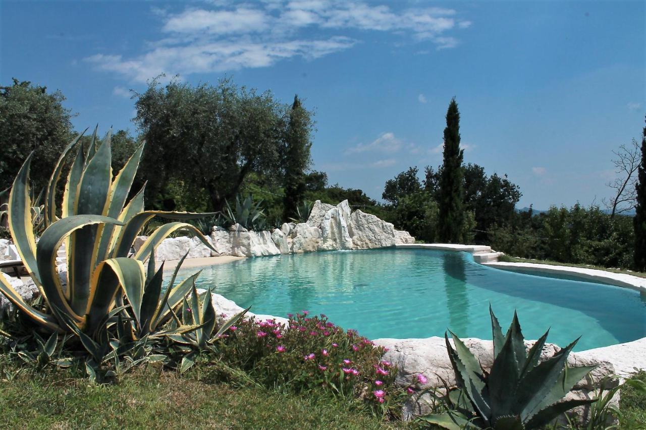 B&B Le Agavi Borso del Grappa Dış mekan fotoğraf