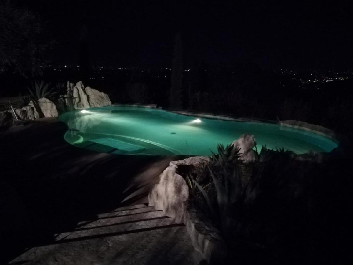B&B Le Agavi Borso del Grappa Dış mekan fotoğraf
