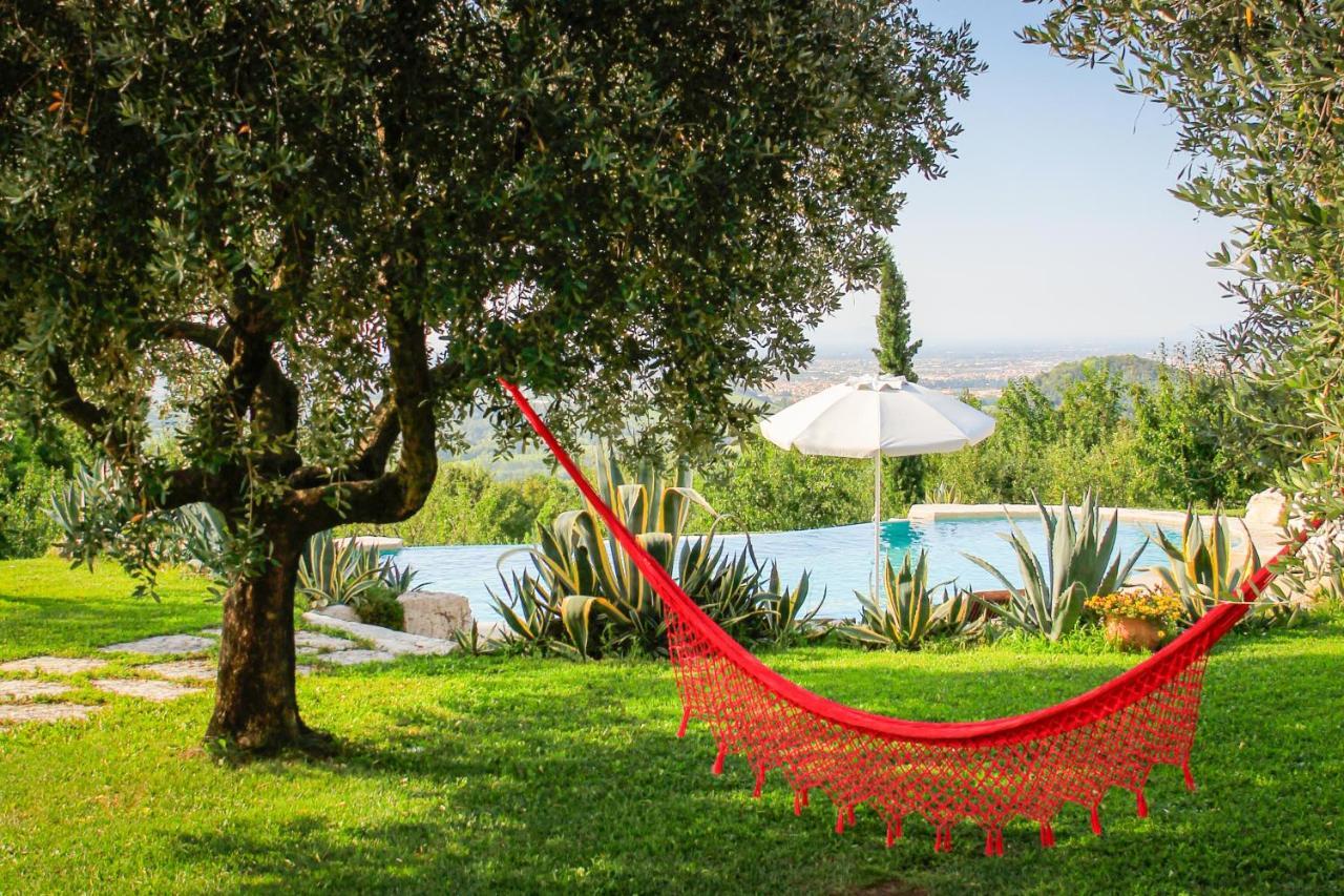 B&B Le Agavi Borso del Grappa Dış mekan fotoğraf