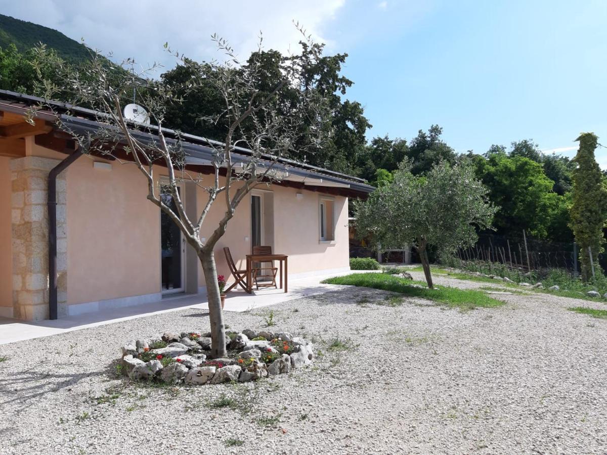 B&B Le Agavi Borso del Grappa Dış mekan fotoğraf